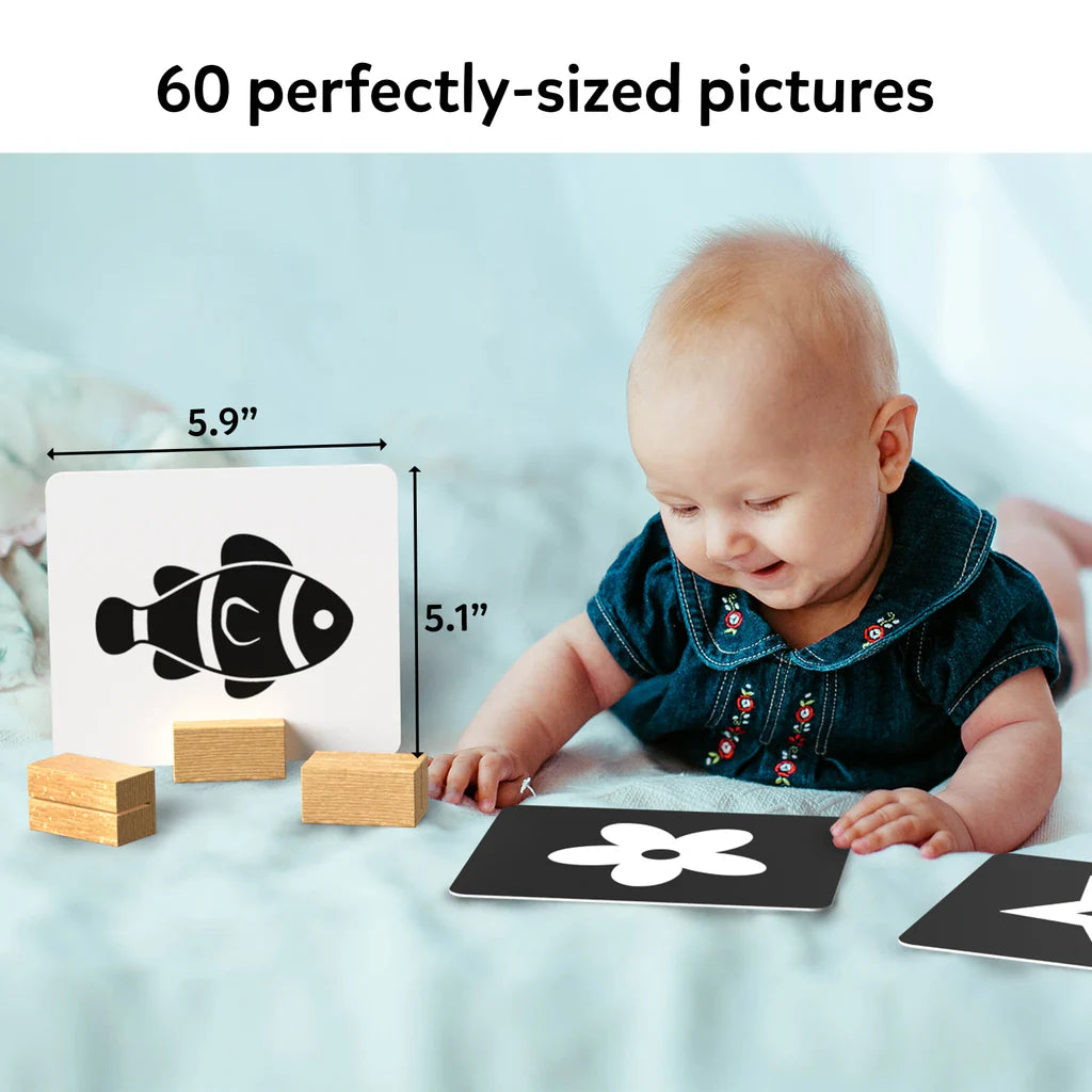 High Contrast Flash Cards for Infants (0-12 months)