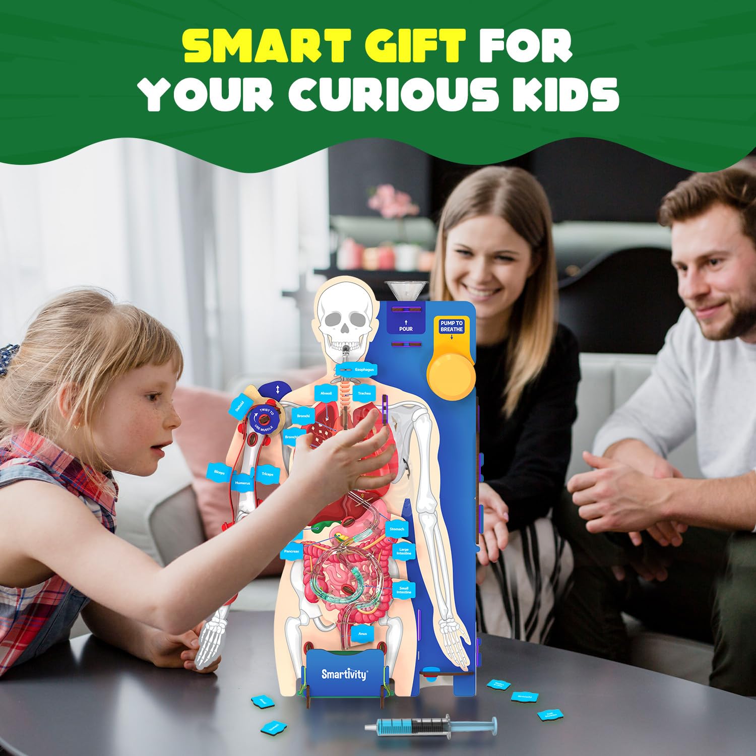 Smartivity Interactive Human Body Model for Kids 8+ I Dynamic Body Parts & Organs + Learning Booklet