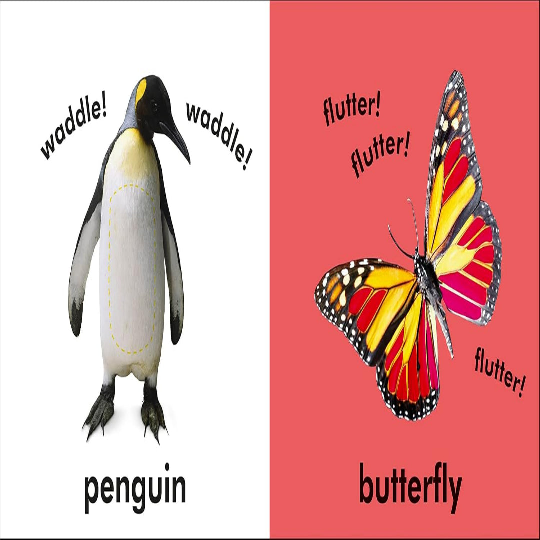 Baby Touch and Feel Animals
