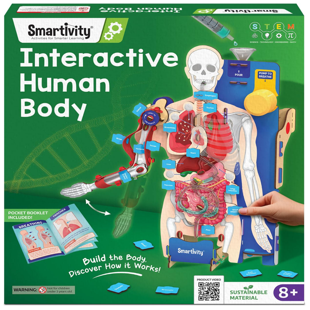 Smartivity Interactive Human Body Model for Kids 8+ I Dynamic Body Parts & Organs + Learning Booklet