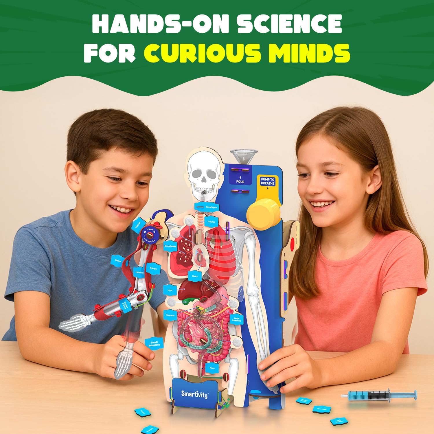 Smartivity Interactive Human Body Model for Kids 8+ I Dynamic Body Parts & Organs + Learning Booklet