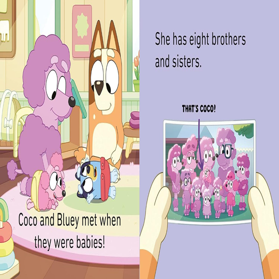 Bluey: Bluey and Friends Little Library