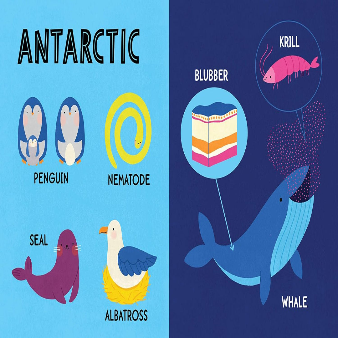 My First 100 Animal Words