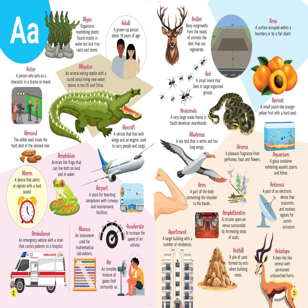 Picture Dictionary for Kids - Words with Images and Meanings